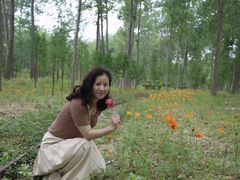 -合肥滨湖国家森林公园