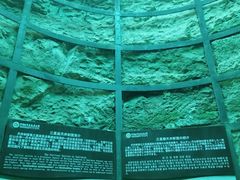 -西峡恐龙遗迹园