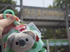 -红山森林动物园