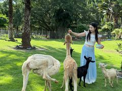 -东南花都花博园