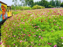 -歌斐颂巧克力小镇