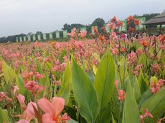 景点-那考河湿地公园