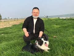 -合肥滨湖国家森林公园