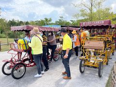 -上海长兴岛郊野公园