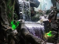 -多彩贵州城极地海洋世界