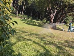 -云溪植物园