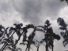 -重庆海昌加勒比海水世界