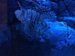 -成都浩海立方海洋公园