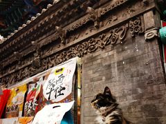 -老白家水盆羊肉