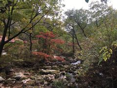 -丹东天桥沟景区