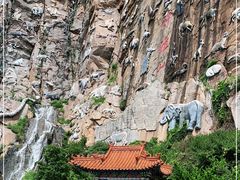 -西霞口神雕山野生动物世界