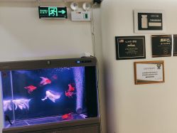 -海涛医疗美容·面部抗衰·注射美鼻