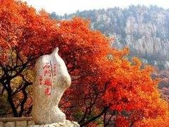 -广州市石门国家森林公园