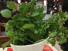 -粤潮牛肉火锅店(江南大道店)
