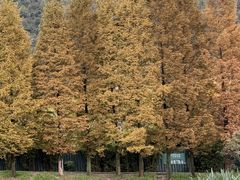 -贵阳市花溪国家城市湿地公园