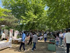 -庐山风景区花径公园