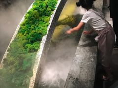 -湊湊火锅·茶憩(石家庄万象城店)
