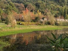 -贵阳市花溪国家城市湿地公园