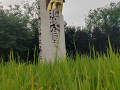 -北坞公园