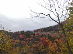 -鬼笑石后山停车场
