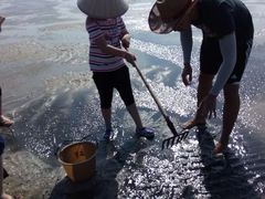 -北海金海湾红树林生态旅游区