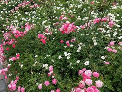 -招商银行(西安分行)