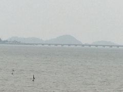 -港珠澳大桥码头