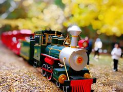 -上海共青森林公园