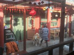 -百好乐宠物友好餐厅(朝外大街店)