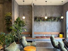 -致璞ZHIPU Rolling on(青岛极地店)