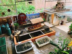 -八仔大富楼·河鲜(西江店)