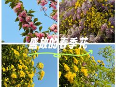 -西苑公园