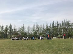 -上海长兴岛郊野公园