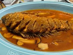 -阿五黄河大鲤鱼(纬三路店)