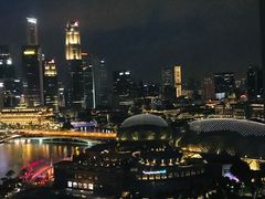 -新加坡文华东方酒店