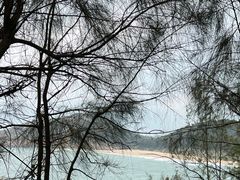 -广东惠东海龟国家级自然保护区