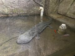 -青青世界