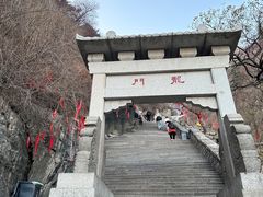 -泰山风景名胜区