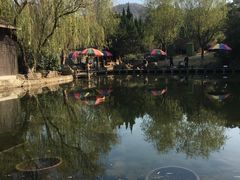 -白马涧龙池景区