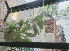 -大象厨房(重庆道店)