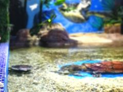 -顺德南宏海立方海洋公园