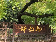 -东平国家森林公园