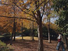 -白塘生态植物园