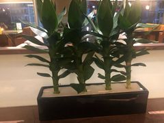 -枣子树素餐厅(铂金城店)