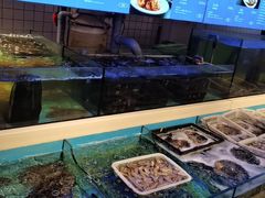 水产区-日进一片海.生腌海鲜火锅.宵夜烧烤(三里屯总店)
