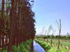 -前小桔亲子创意农场·草莓采摘·露营烧烤