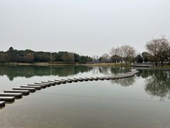 -佘山世茂艾美·御珍轩中餐厅