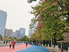 -天河体育中心