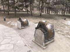 -元大都城垣遗址公园