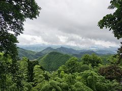 -莫干山风景区